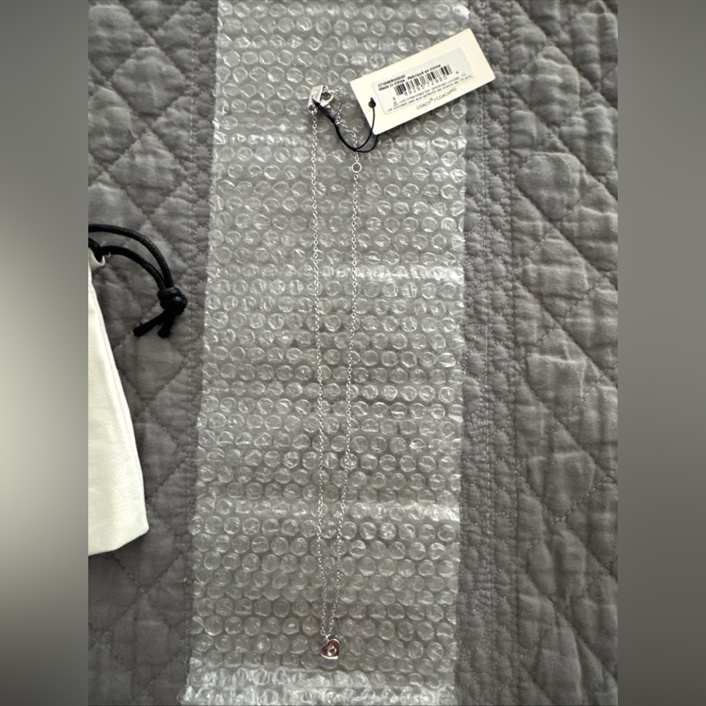 Coach Silver Chain Necklace